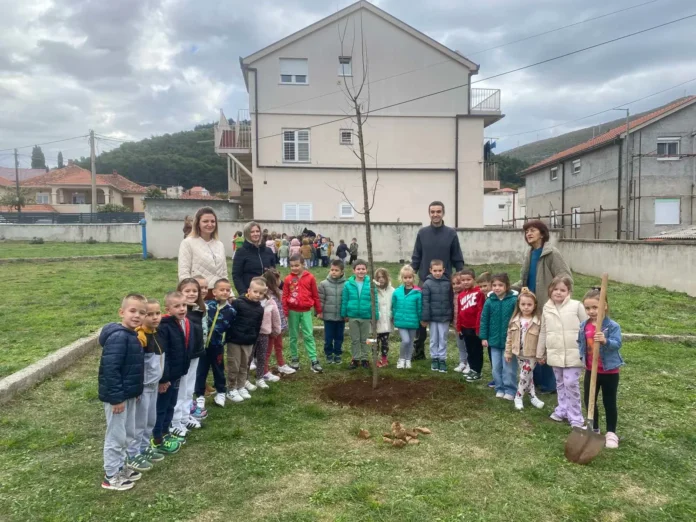 dm drogerie markt podržao deset eko projekata širom BiH